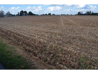 Property photo 49 - EHLE FARMS AUCTION - 118+/- ACRES IN 9 TRACTS IN ALLEN COUNTY, INDIANA